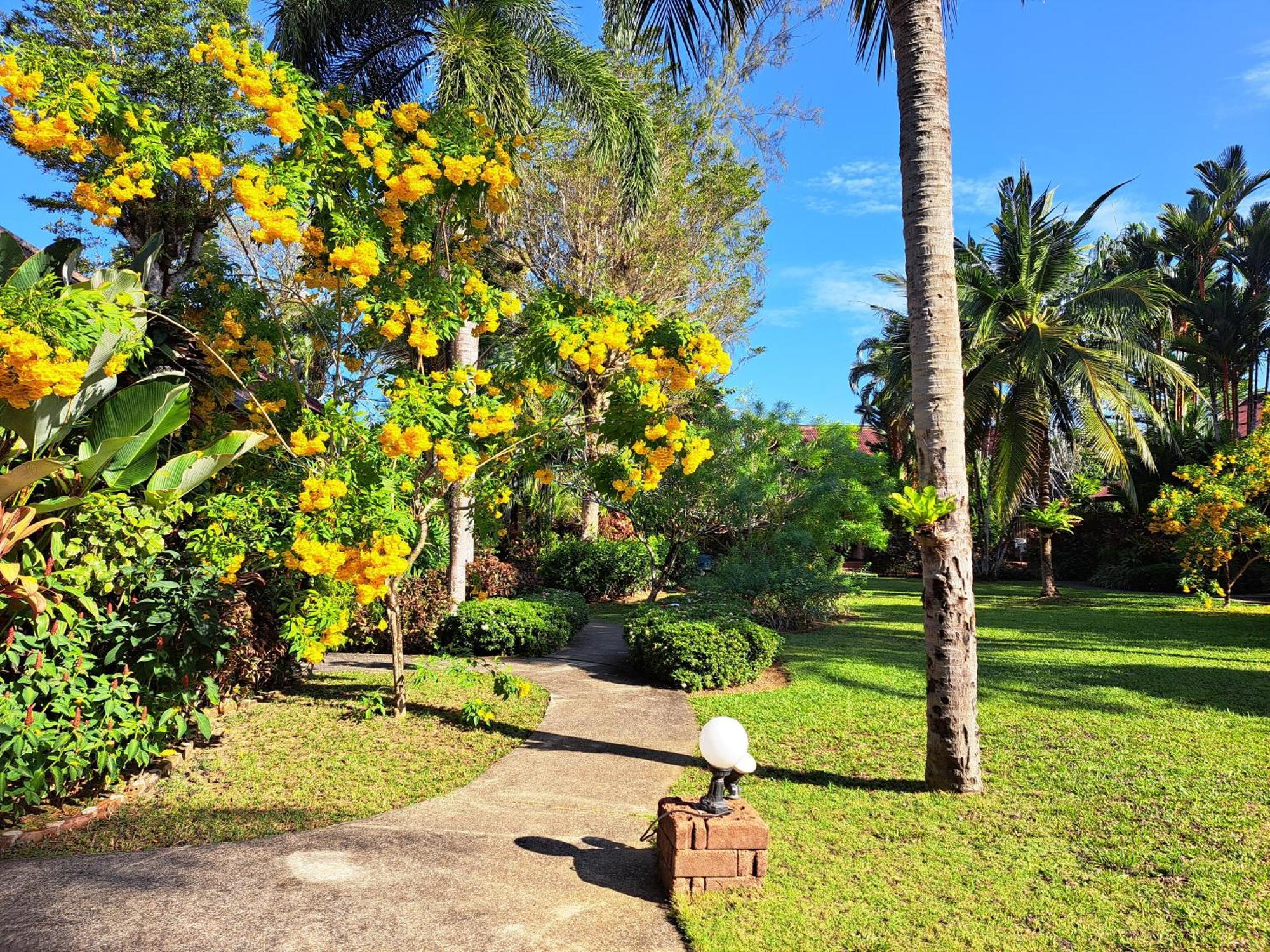 Jasmin Resort - Sha Plus カオラック エクステリア 写真