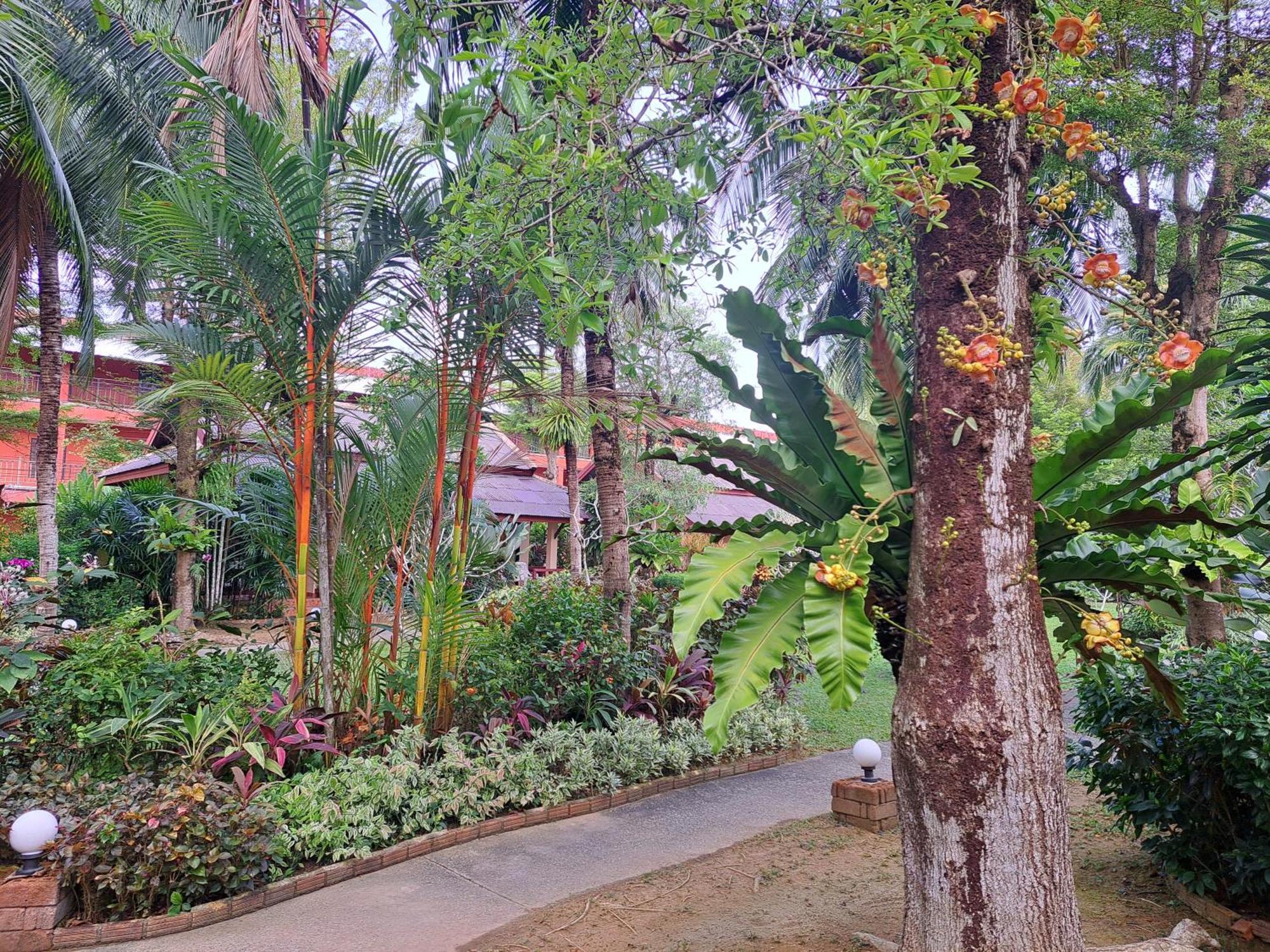 Jasmin Resort - Sha Plus カオラック エクステリア 写真